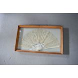 A Victorian fan, in a glass case.