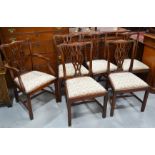 A set of six mahogany dining chairs (including one carver), with lattice worked back splats and