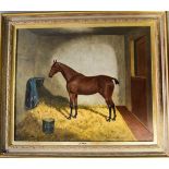 A early 20th century oil on canvas, portrait of a horse 'Jennie'. by Frederick Albert Clark - 61cm x