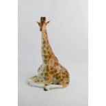 A Russian Lomonosov porcelain giraffe, 31cm high.