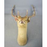 A wall mounted Stag deer head A/F