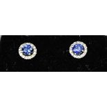 A 9ct white gold pair of sapphire and diamond halo earrings, 0.5cm diameter.