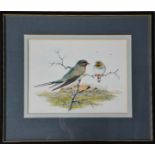 Peter Hayman (20th century): Swallows, watercolour on paper, signed lower right, 23 by 30cm.