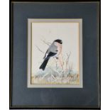 Peter Hayman (20th century): Bull Finch, watercolour on paper, signed lower right, 23 by 18cm.