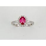 An 18ct white gold, ruby and diamond ring, the oval 1ct ruby surrounded by diamonds, and diamond set
