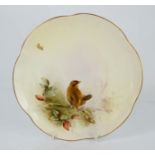 A Royal Worcester porcelain plate, hand painted with a Wren and signed James Stinton 1912. 22cms