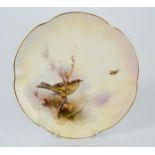 A Royal Worcester porcelain plate, hand painted with a Linnet and signed James Stinton 1912. 22cms