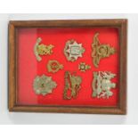 A framed group of WWI cap badges / military foot police The Border Regiment etc.