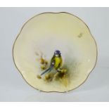 A Royal Worcester porcelain plate, hand painted with a Blue Tit and signed James Stinton 1912. 22cms