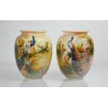 A pair of fine porcelain Royal Worcester vases, decorated with peacocks signed Sedgley, 16cm high.