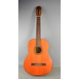 A Brightwood & Darcey guitar no. D5647-48, with soft case.