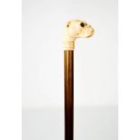 A 19th century walking cane, with ivory carved bulldog head handle, inset with glass eyes.