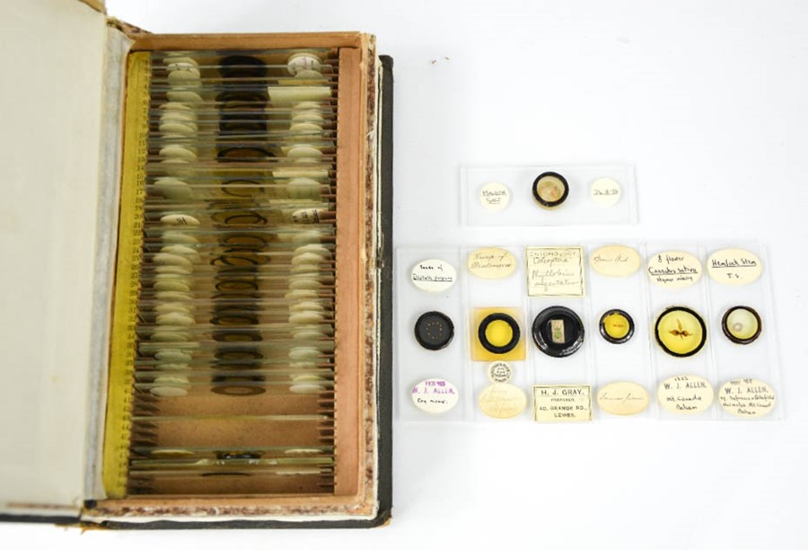 A group of microscopical preparations, in box in the form of a book, each slide numbered and - Image 3 of 4