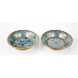 A pair of Chinese cloisonne dishes with turquoise ground, 7½cm diameter.