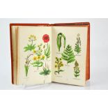 Robinsons Herbal, dated 1872, with coloured illustrations. [Provenance: C. Fields Herbalist,