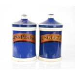 Two antique ceramic apothecary jars bearing latin labels, 25cm high.