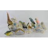 A group of Karl Ens porcelain birds some a/f together with display plaque