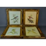 A set of four oil on canvas ornithological studies.
