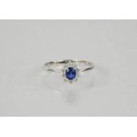 An 18ct white gold, sapphire and diamond cluster ring, size P, 2.5g.