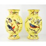 A pair of 19th century German porcelain vases, painted with birds and insects on a yellow ground,