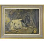 J. Ritchie (19th century) study of a goat, oil on canvas - 32 x 44cm