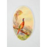 A Royal Worcester oval plaque, painted with a pheasant, in a landscape signed Jas Stinton, circa