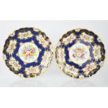 A pair of Royal Worcester plates, painted with flowers, attributed to E. Philips, with cobalt blue
