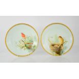A pair of Royal Worcester plates, painted with birds, one with a nest and chicks, 23cm diameter.