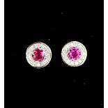 A platinum, ruby and diamond earrings, the rubies approximately 1.20ct total, the diamonds