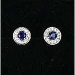 A pair of platinum, sapphire and diamond earrings, the sapphires approx 1.20ct, the diamonds
