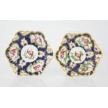 A pair of 18th century Worcester dishes, painted with extic birds and insects on a cobalt blue