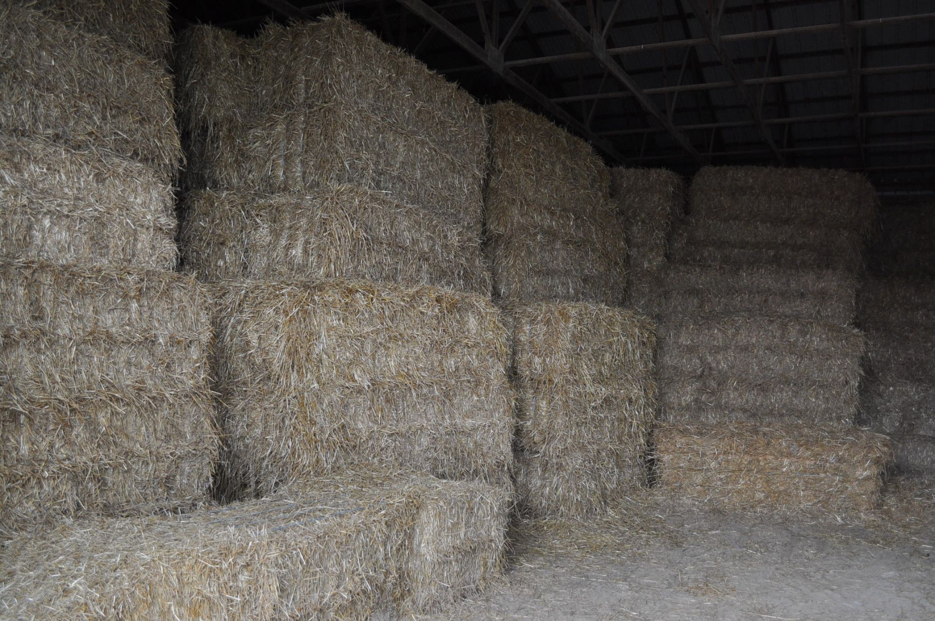 50 straw large square bales, 27”x32” bales