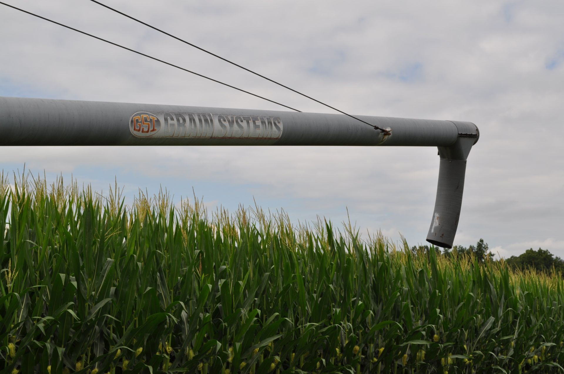 GSI Grain King 8” x 61’ swing-a-way auger, 540 pto, hyd raise - Image 5 of 9