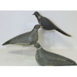 Three antique carved wooden decoy pigeons with painted decoration, 28cm, 31cm and 36cm long.