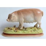 Rudolstadt porcelain figure of a pig on plinth base, 12cm high.