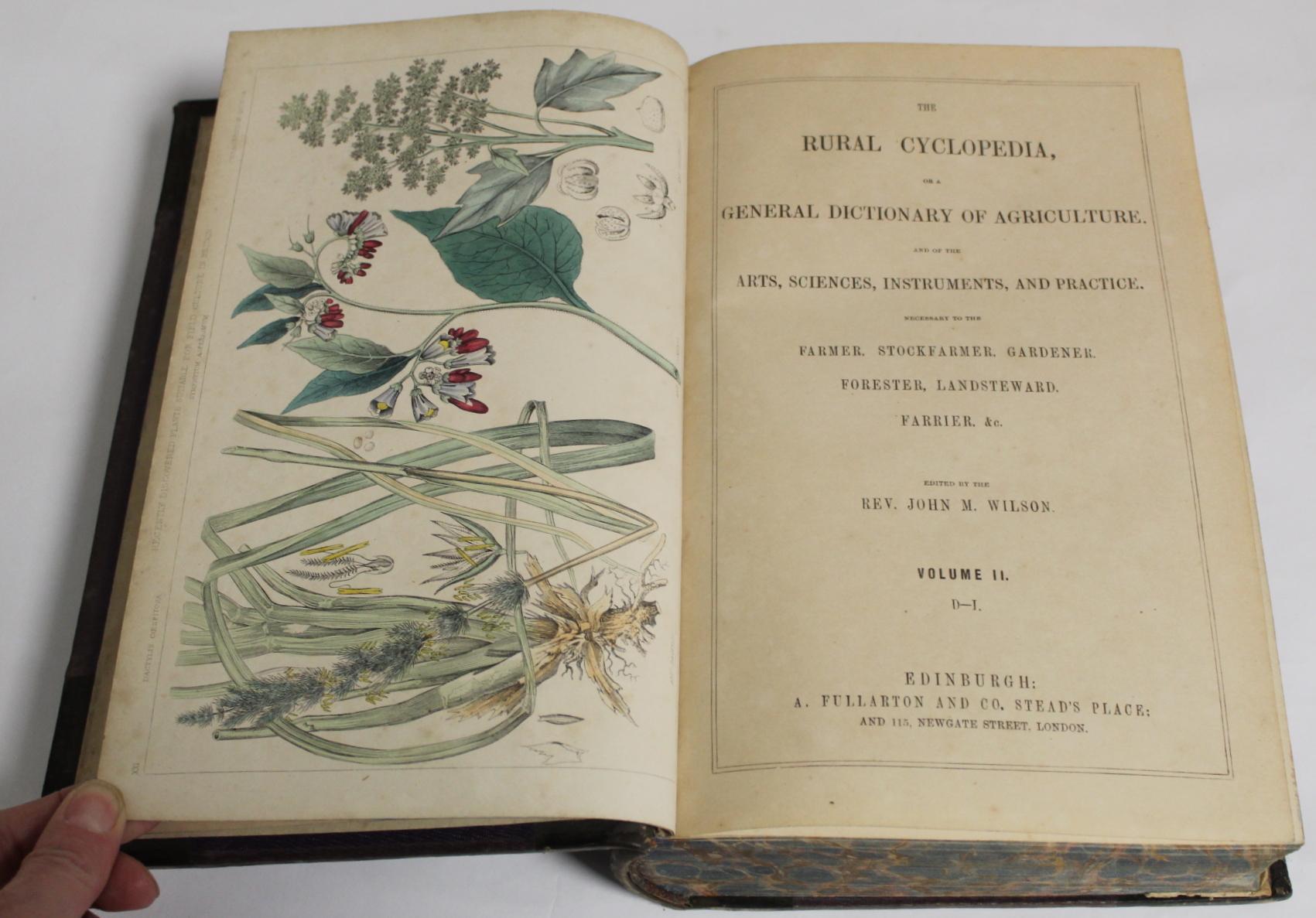 WILSON JOHN M.  The Rural Cyclopedia or A General Dictionary of Agriculture. 4 vols. Hand col. - Image 26 of 97