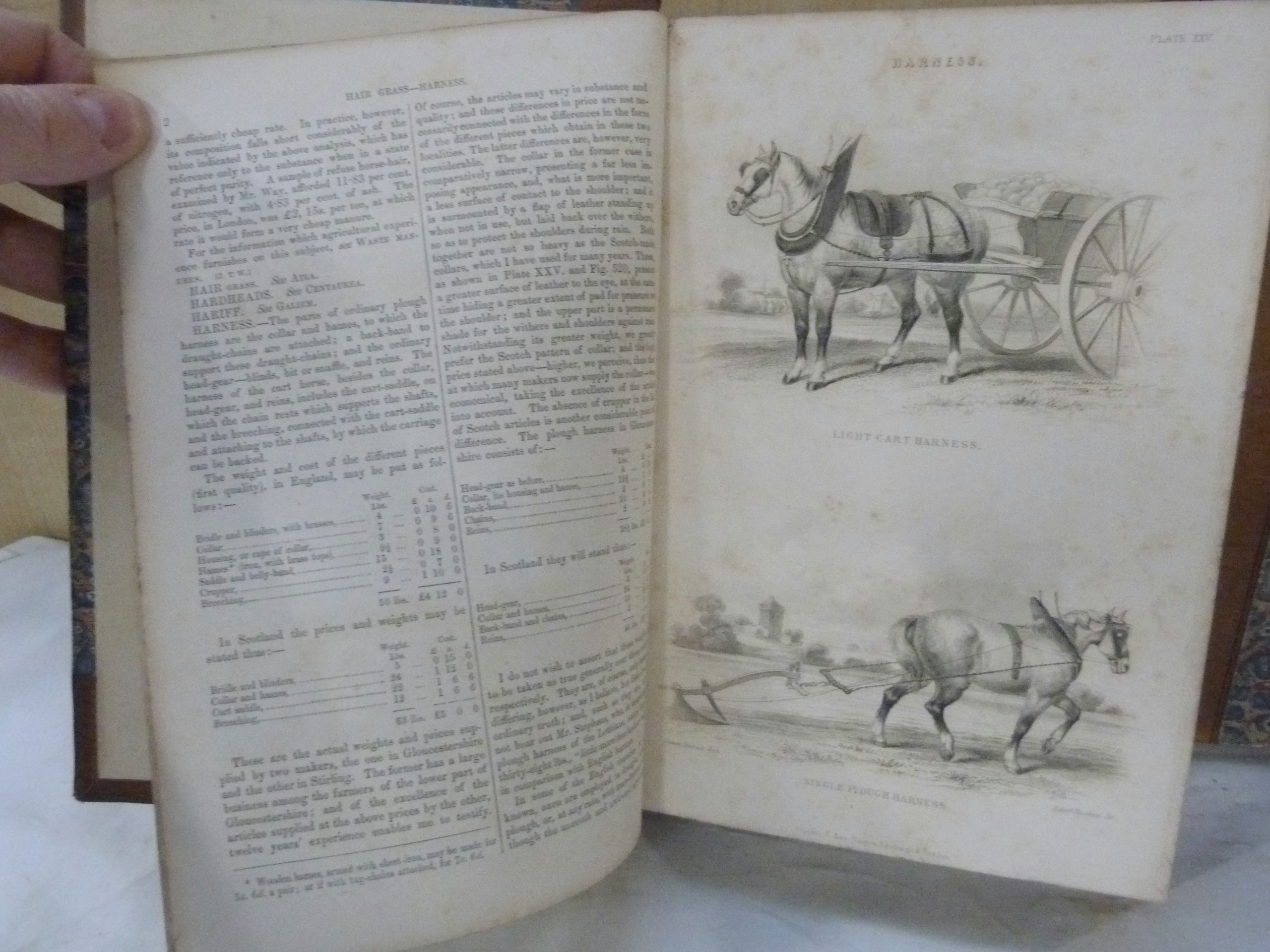 MORTON JOHN C.  Cyclopedia of Agriculture. 2 vols. Eng. plates & text illus. Half calf. 1855. - Image 4 of 4