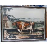 Early Shorthorn Bull.  Large modern framed reproduction on canvas.
