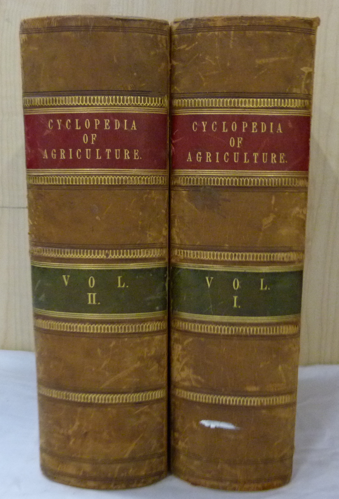 MORTON JOHN C.  Cyclopedia of Agriculture. 2 vols. Eng. plates & text illus. Half calf. 1855.