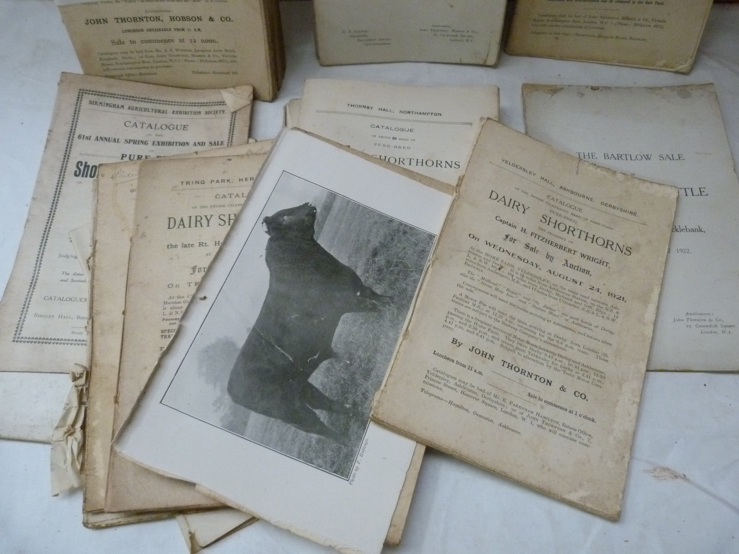 JOHN THORNTON & CO., & OTHERS (Auctioneers).  17 Dairy Shorthorn Catalogues for On Farm & Collective - Image 2 of 3