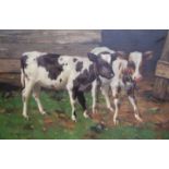 DAVID GAULD.Two Ayrshire calves by a barn door.Oil painting on canvas.Signed. Inscribed to reverse