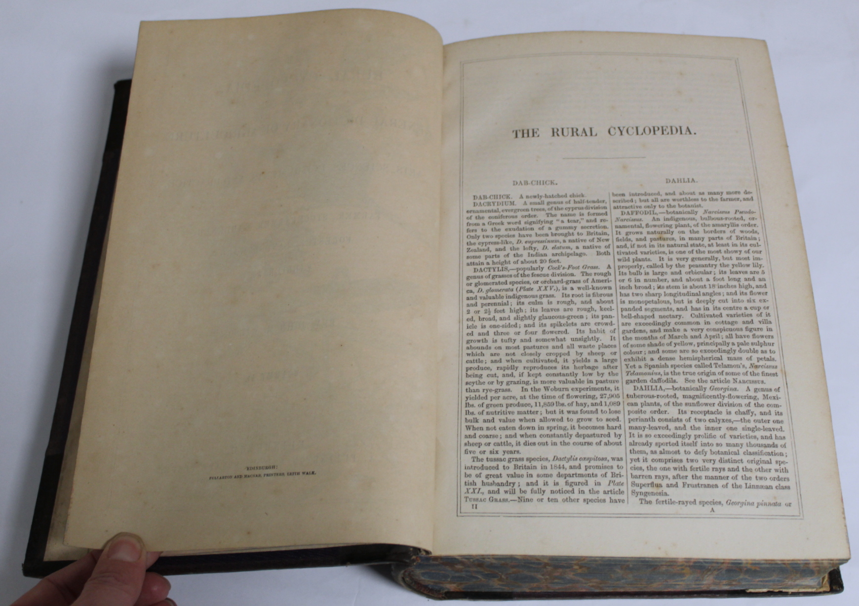 WILSON JOHN M.  The Rural Cyclopedia or A General Dictionary of Agriculture. 4 vols. Hand col. - Image 27 of 97