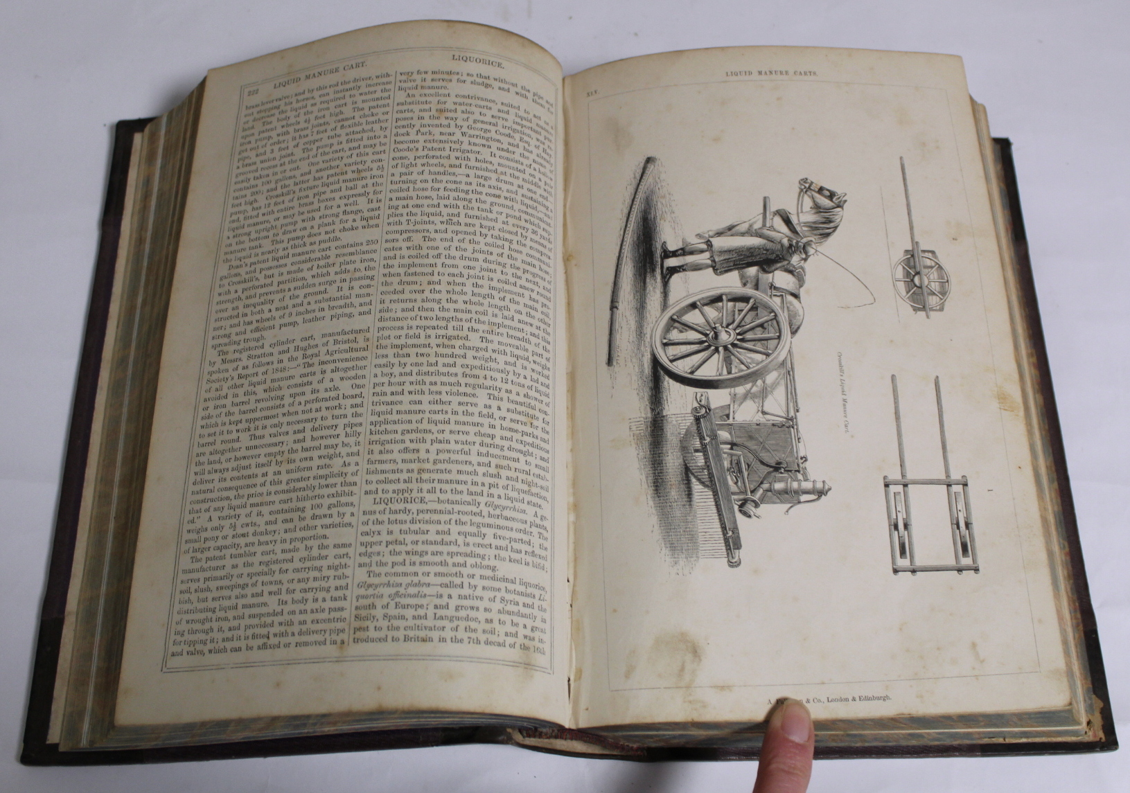 WILSON JOHN M.  The Rural Cyclopedia or A General Dictionary of Agriculture. 4 vols. Hand col. - Image 54 of 97