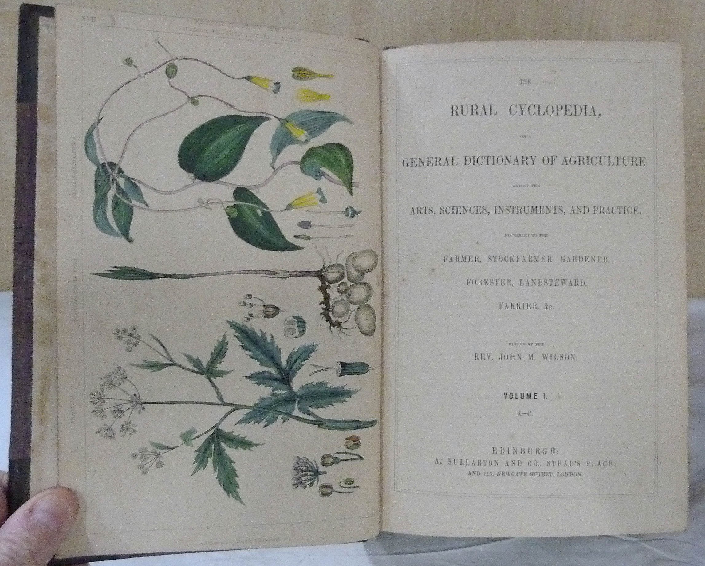 WILSON JOHN M.  The Rural Cyclopedia or A General Dictionary of Agriculture. 4 vols. Hand col. - Image 3 of 97