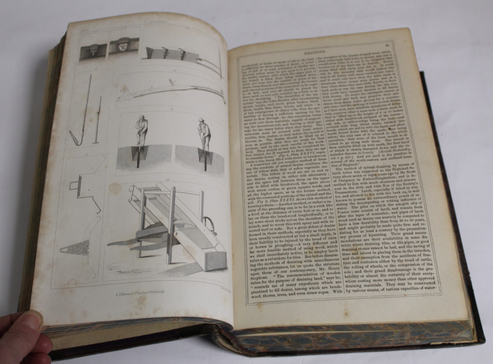 WILSON JOHN M.  The Rural Cyclopedia or A General Dictionary of Agriculture. 4 vols. Hand col. - Image 31 of 97