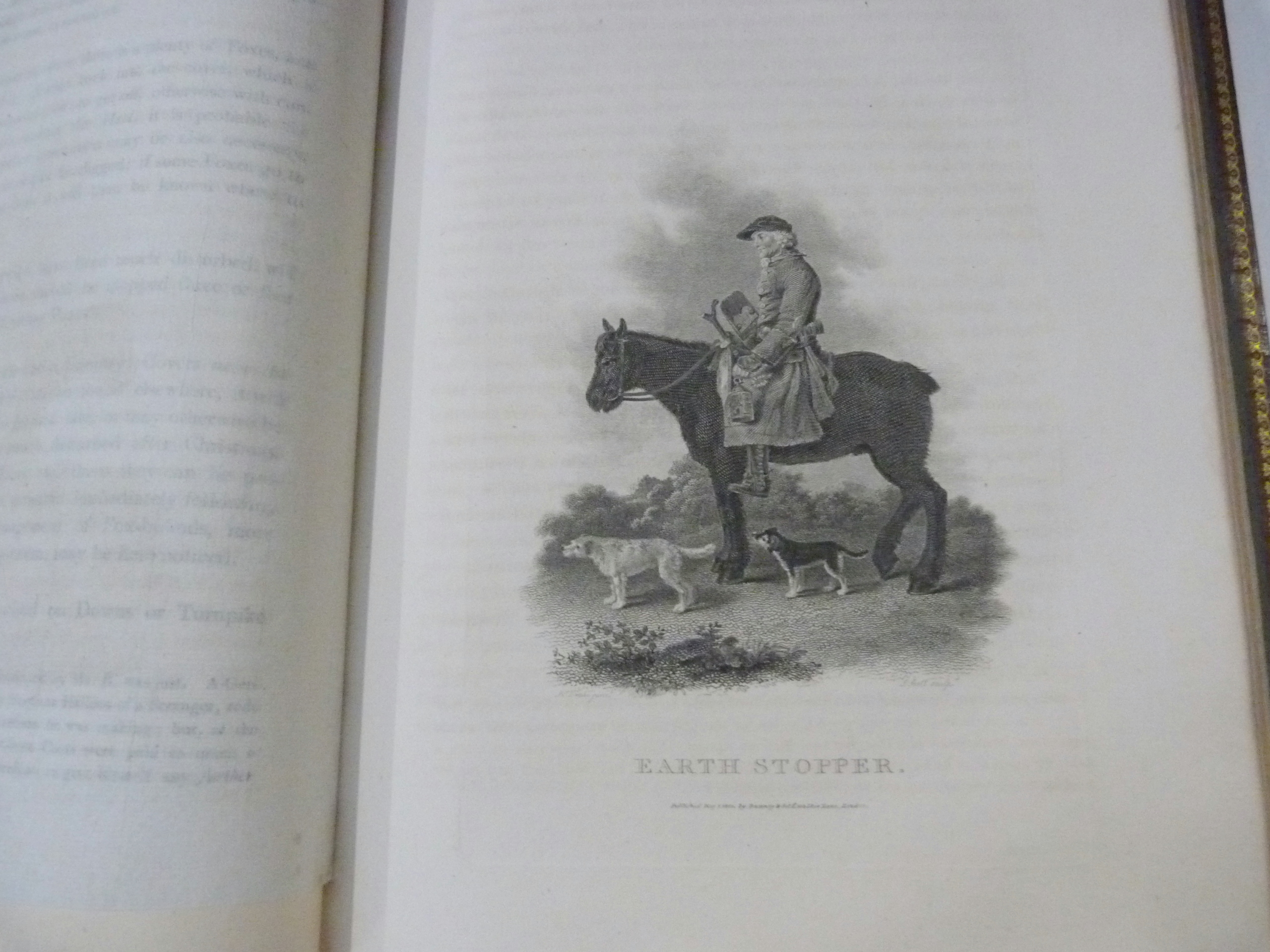 DANIEL W. B.  Rural Sports. 3 vols. Good eng. plates. Quarto. Nice calf gilt, neatly rebacked. 1807. - Image 4 of 4