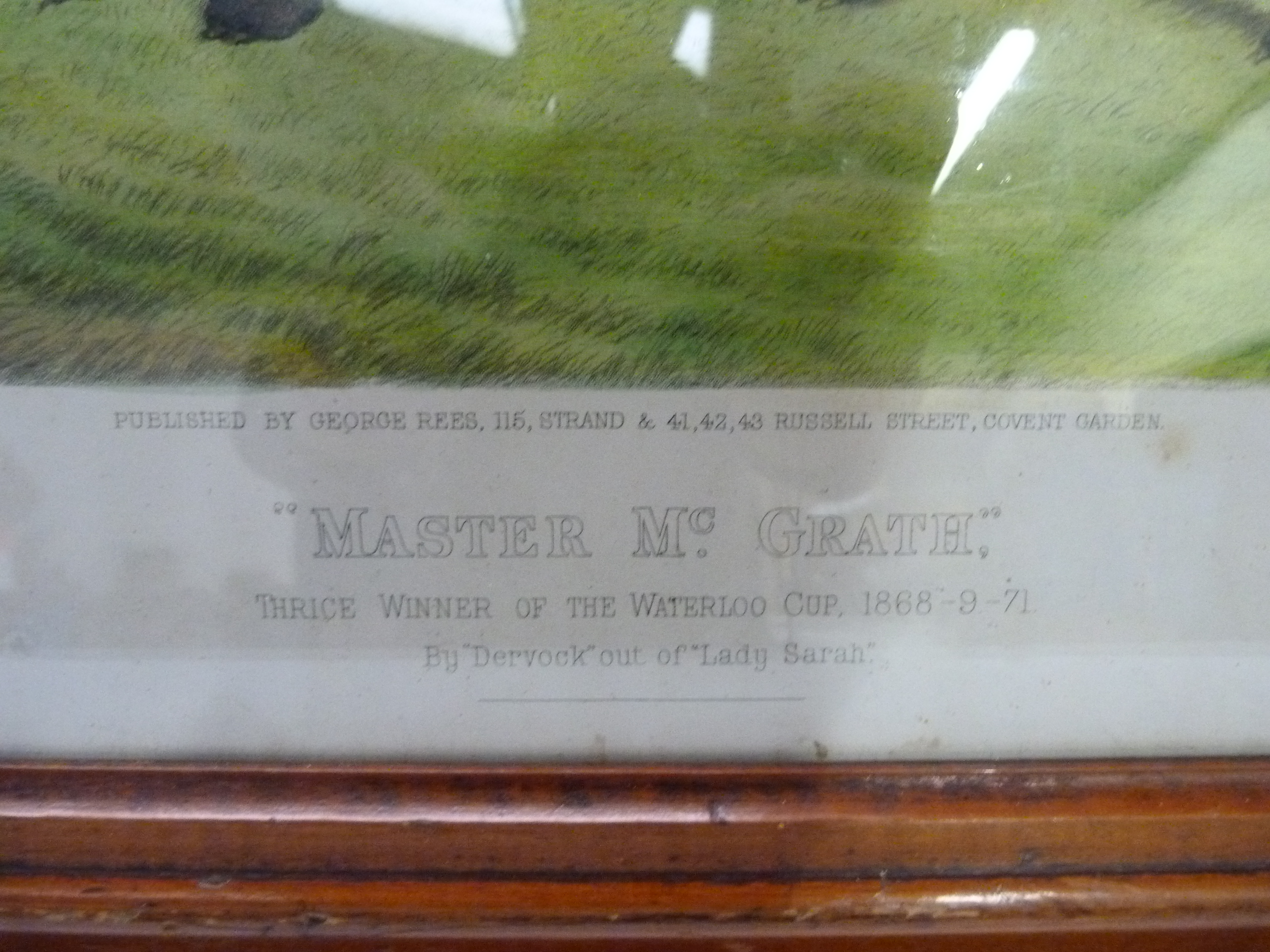 REECE GEORGE (Pubs).  Master McGrath, Thrice Winner of the Waterloo Cup. Antique coloured engraving, - Image 2 of 2