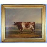 DAVID DALBY OF YORK.Beef Shorthorn Bull, Sir Leoline. 603. 1819. By Leopold, Dam, Ruby, bred by Mr
