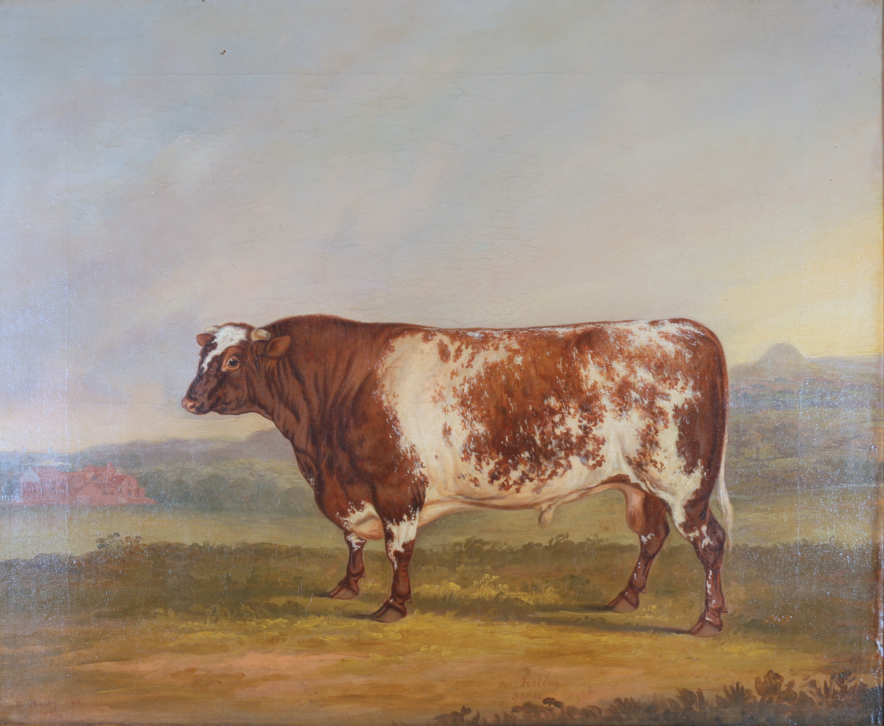 DAVID DALBY OF YORK.Beef Shorthorn Bull, Sir Leoline. 603. 1819. By Leopold, Dam, Ruby, bred by Mr - Image 3 of 10