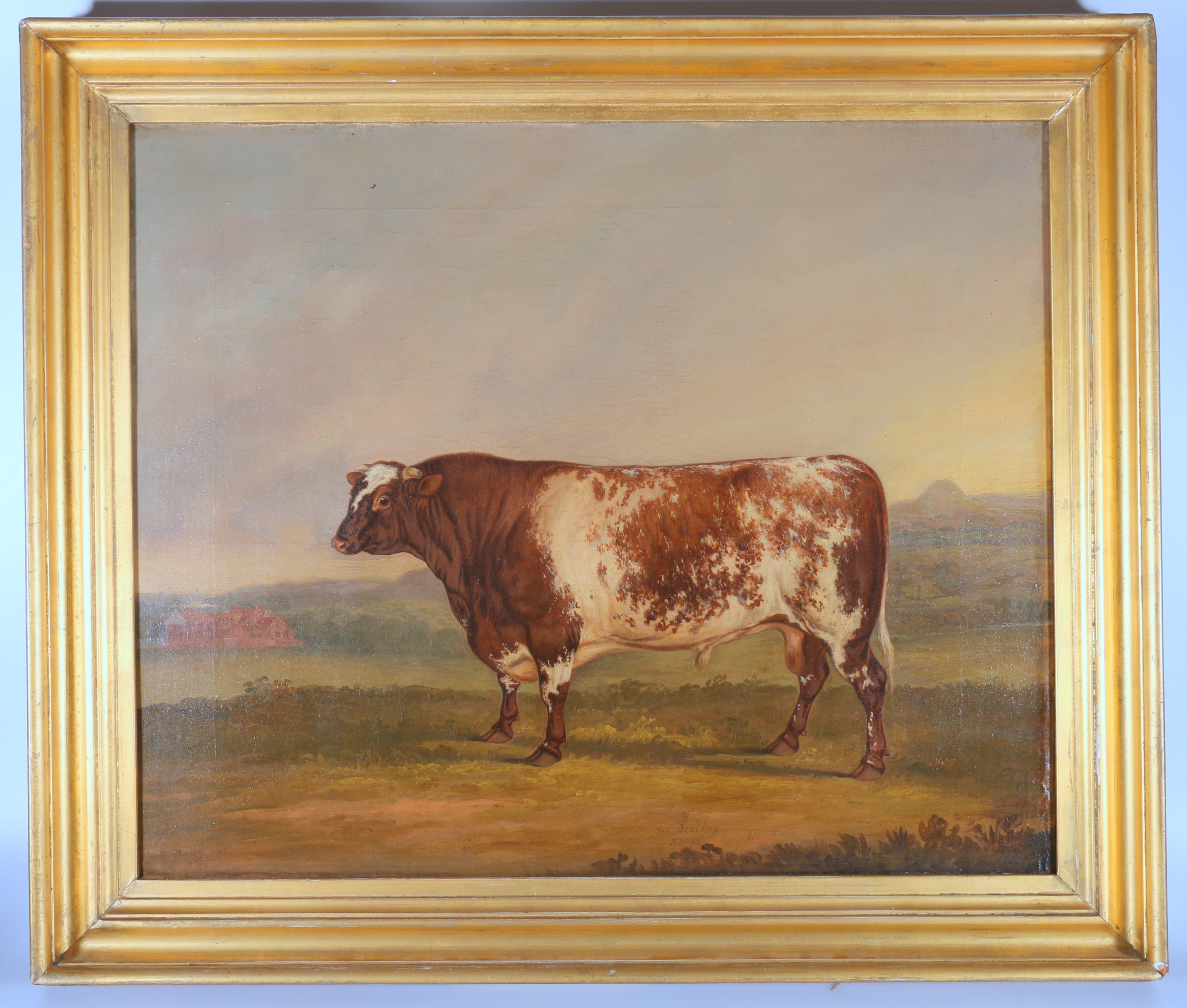 DAVID DALBY OF YORK.Beef Shorthorn Bull, Sir Leoline. 603. 1819. By Leopold, Dam, Ruby, bred by Mr - Image 2 of 10